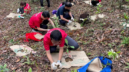 Hero-pic_planting-native-trees