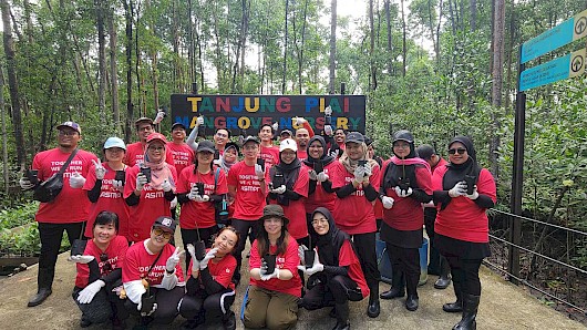 Hero-pic_mangrove-photo-3_web