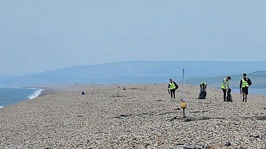 Hero-pic_marine-litter-pick_wb